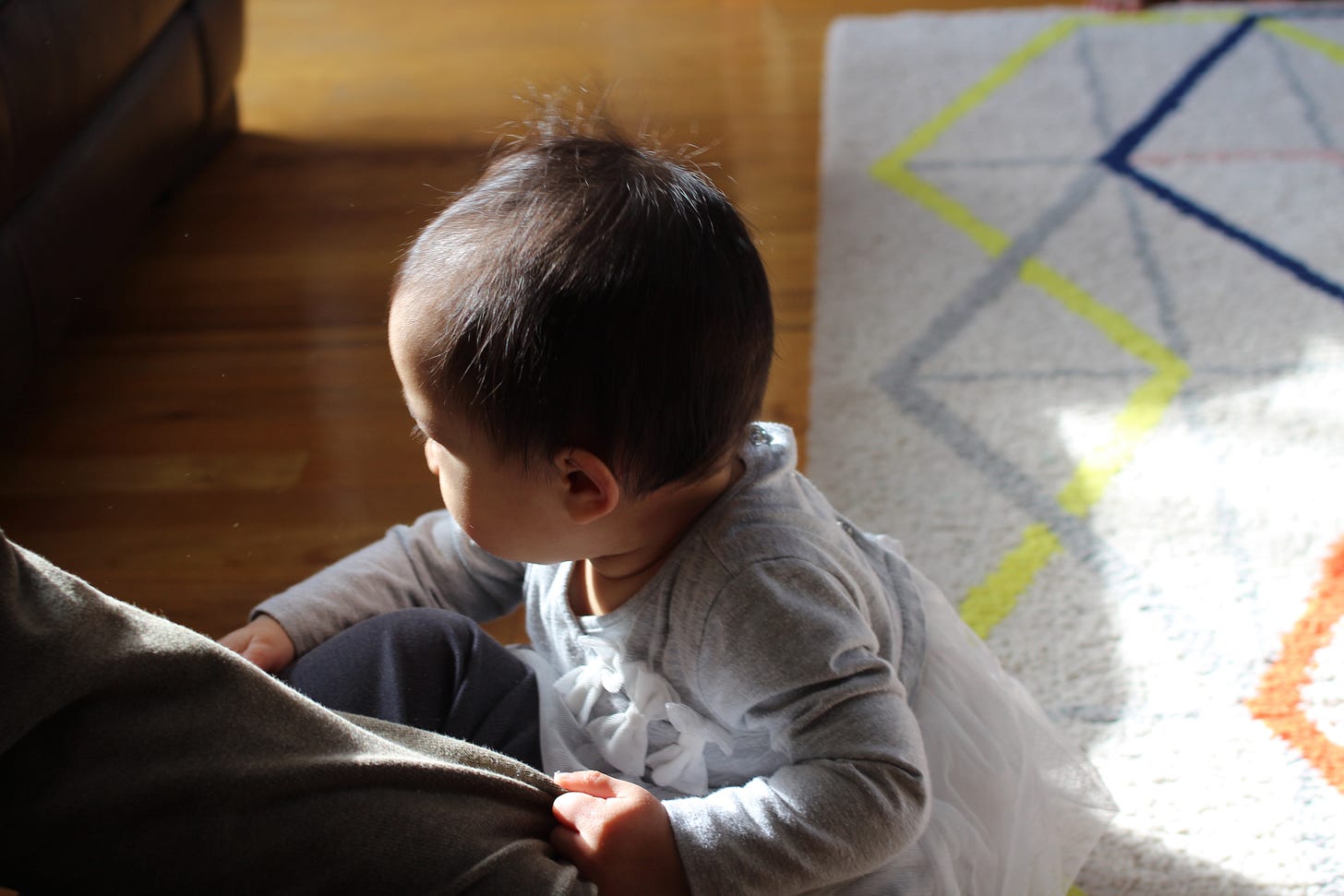 IMG_8146.jpg IMG_8146.jpg