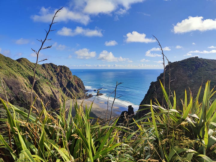 Beach, cliff and hiking scenes from the Hillary Trail, Waitākere Ranges
