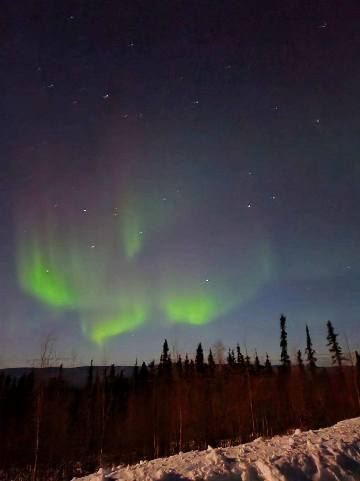faint green aurora dancing over trees