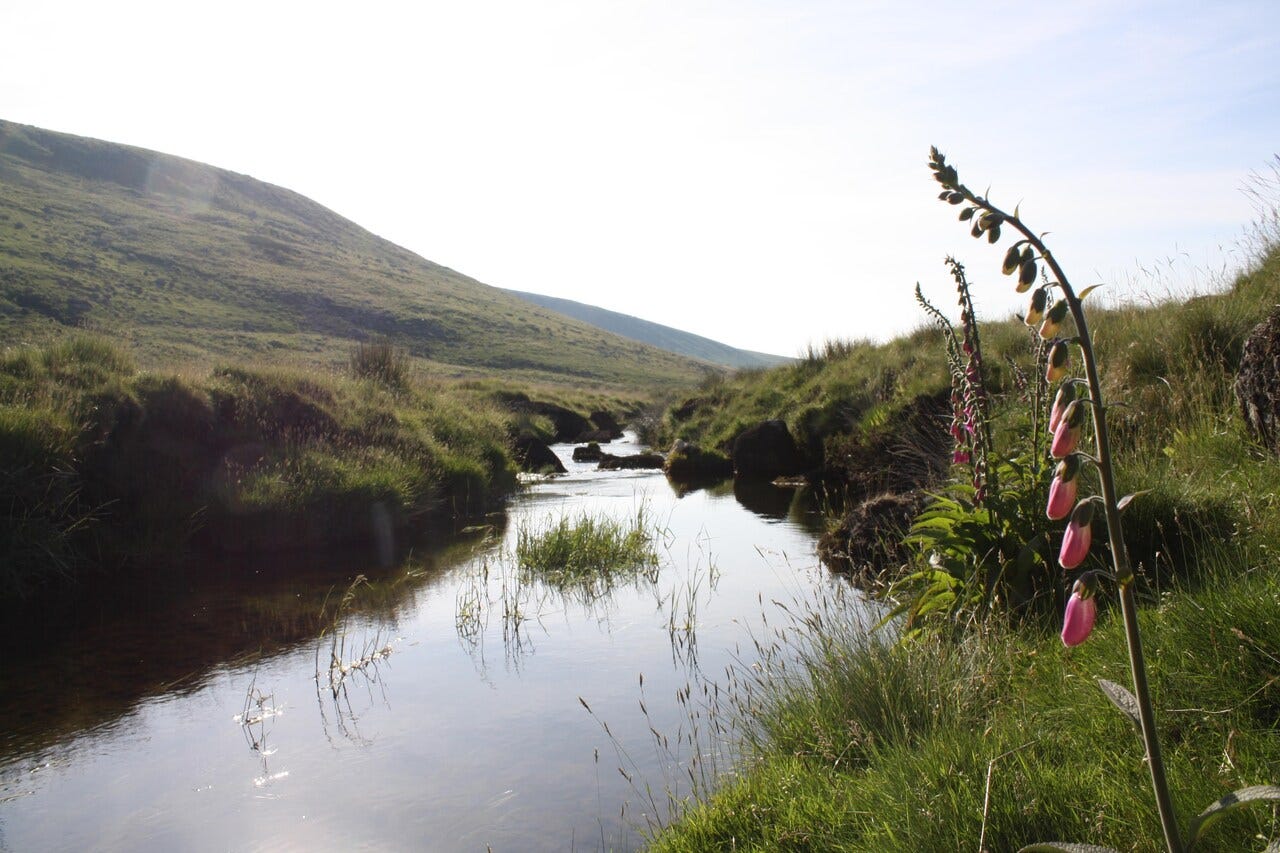 West Okement River valley on Dartmoor