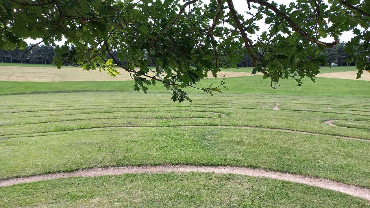 View from the centre of Willen Lake labyrinth