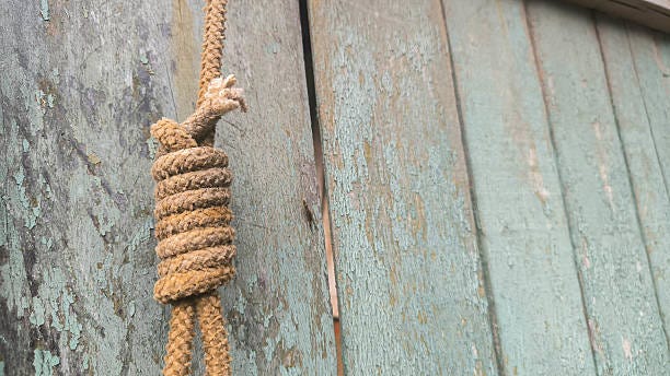 Knot and Weathered Wood Knot and Weathered Wood