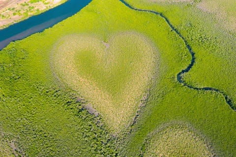 The Heart of Voh