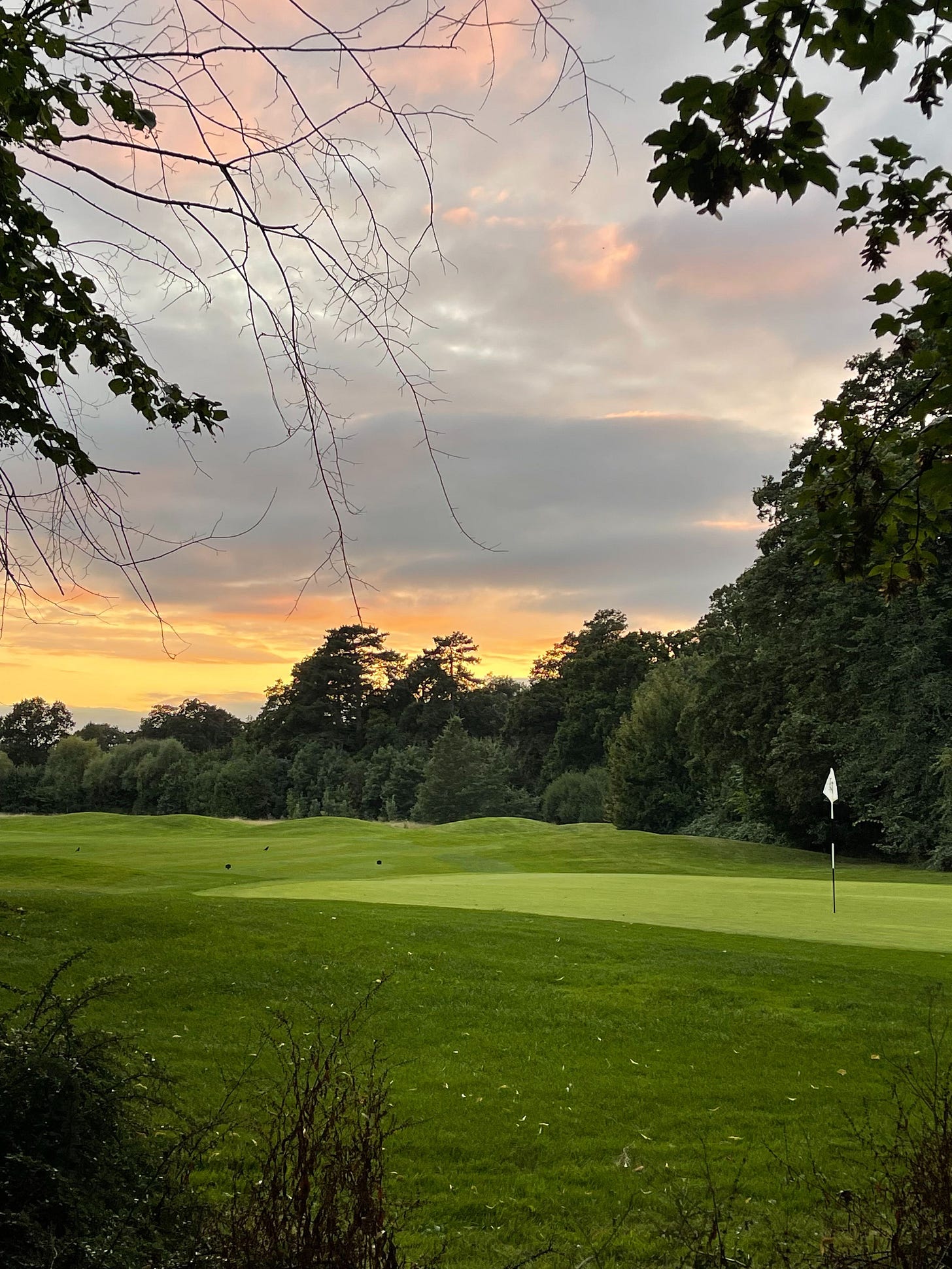 Sunset Over Golf Course Green