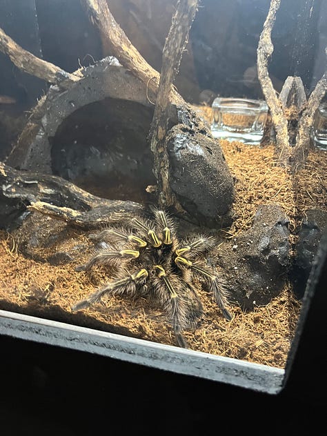Aquaria KLCC