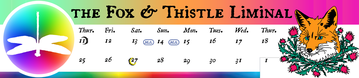 Fox & Thistle Studio Fortnight Calendar header banner for the Liminal almanac, rainbow gradient with fox and thistle wreath mascot, dragonfly flying over color spectrum logo, lunar phases, and fortnightly date grid showing dates with moon symbols and seasonal markers