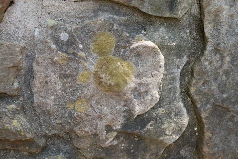 top L-R a rock, a bridge, and tree roots
