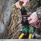 Killing Animals Helped Me Make Peace With Death