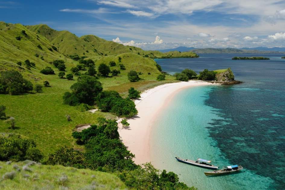 Pink Beach, Komodo National Park. Photo: Rafal Cichawa/Shutterstock