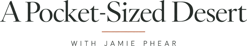 A Pocket-Sized Desert with Jamie Phear