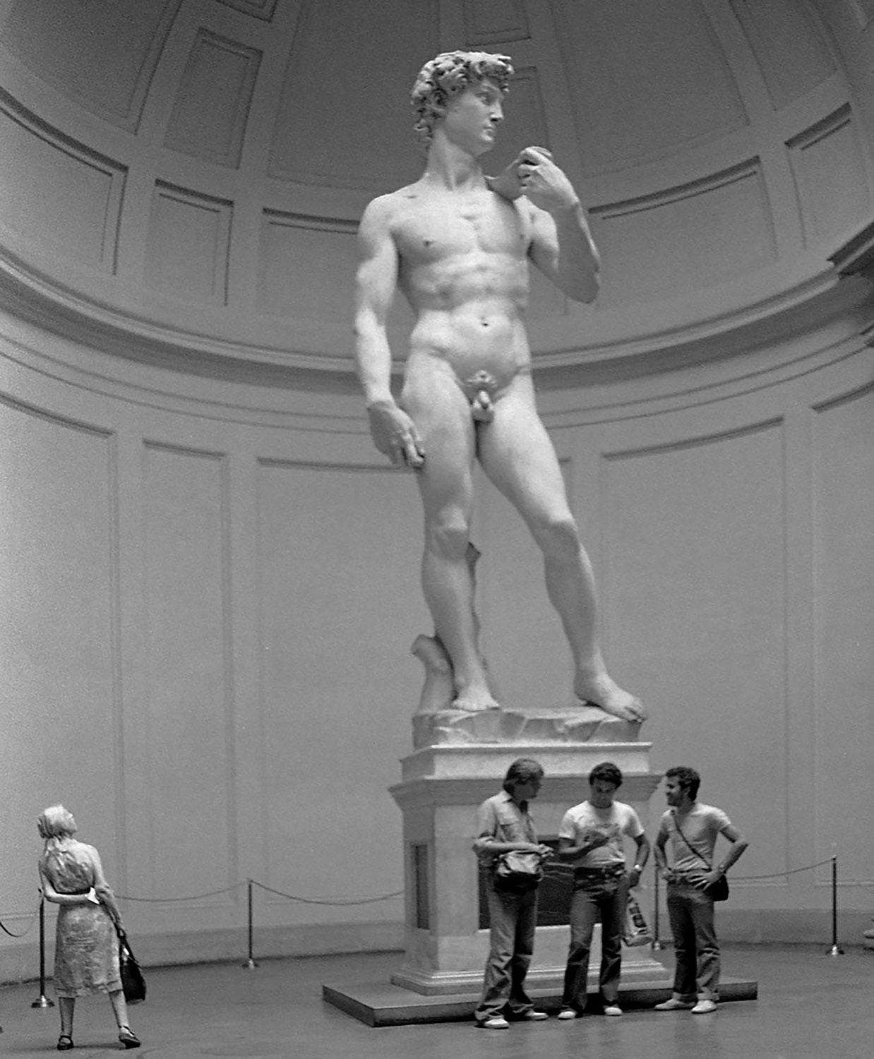 David, Michelangelo Buonarroti, 1501-04, Galleria dell'Accademia di Firenze.