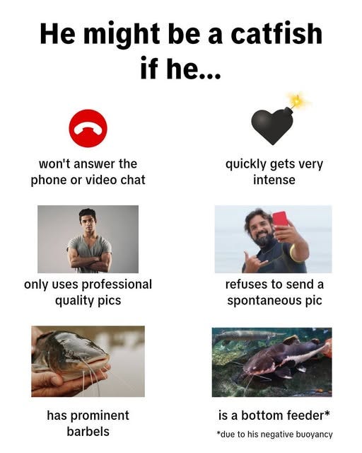 May be an image of 2 people and text that says 'He might be a catfish if he... won't answer the phone honeorvideochat or video chat quickly quicklygetsvery gets very intense only uses professional quality pics refuses to send a spontaneous pic has prominent barbels is a bottom feeder* *due to his negative buoyancy'