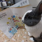 3尾兔仔໒₍｡ •᎔• ｡₎১