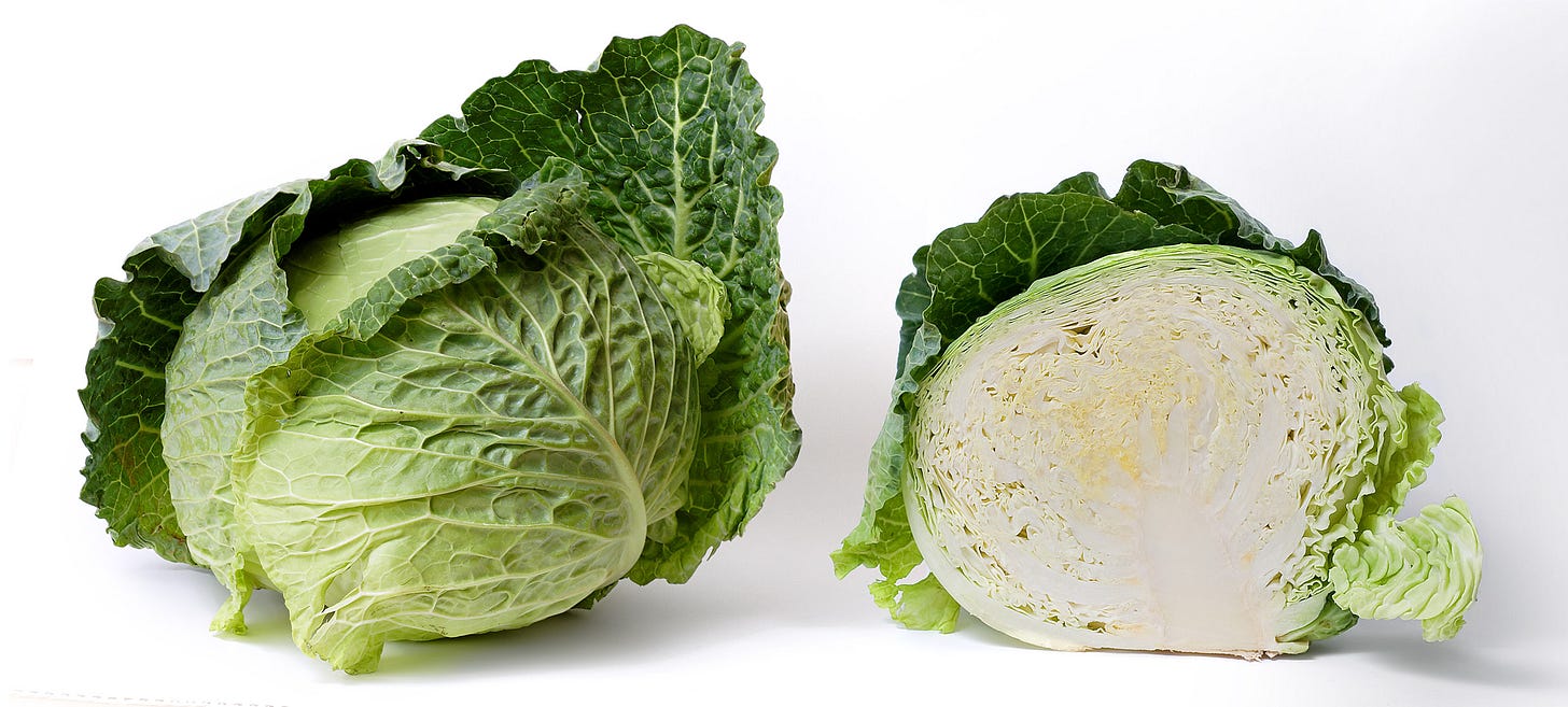 Cabbage and half cabbage