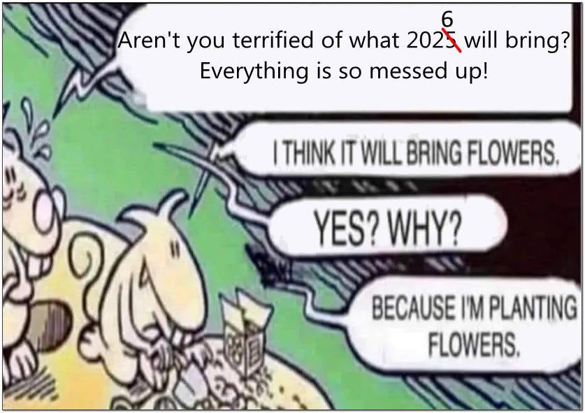 It's new years day 2026, what seeds are you planting?