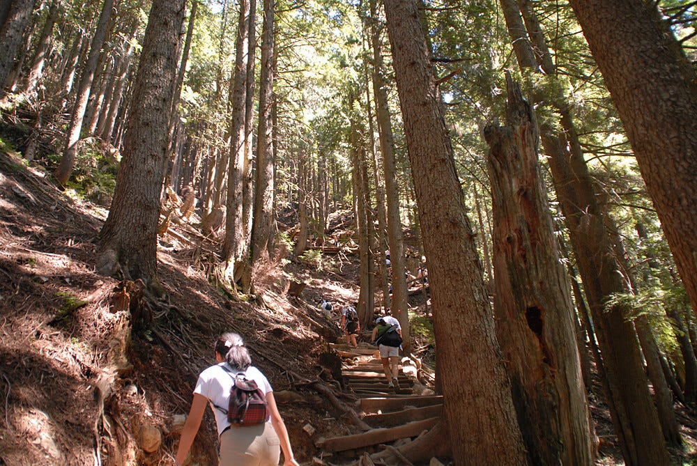 The Grouse Grind, part three The Grouse Grind, part three