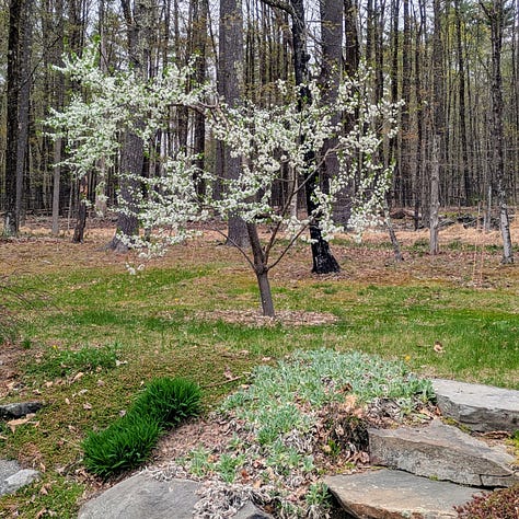 Spring has sprung!