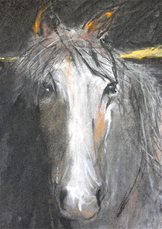 Horse 3 Horse 3