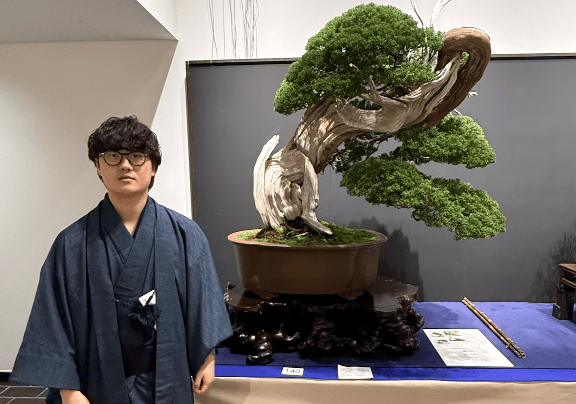 Bonsai as an Alternative Asset - by Stefan von Imhof