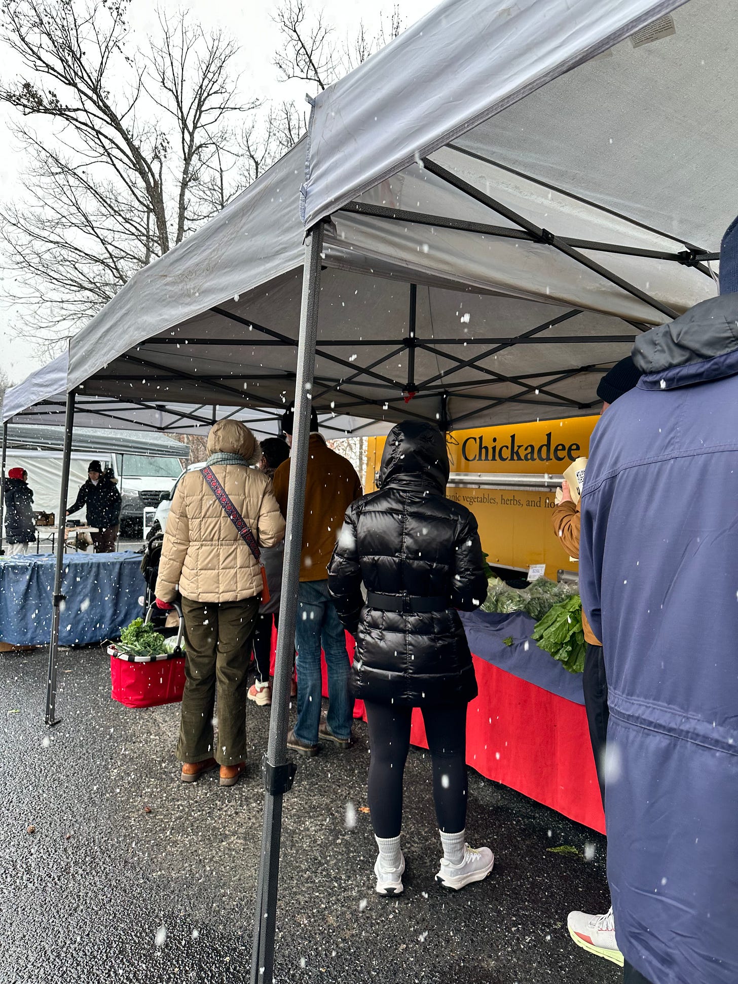 Large flakes of snow and a farmers' market stall with a line of shoppers