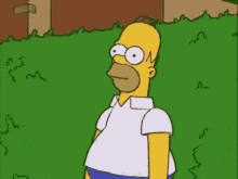 homer simpson from the simpsons is standing in the grass and looking at something . homer simpson from the simpsons is standing in the grass and looking at something .