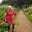 cherry Cooke's avatar
