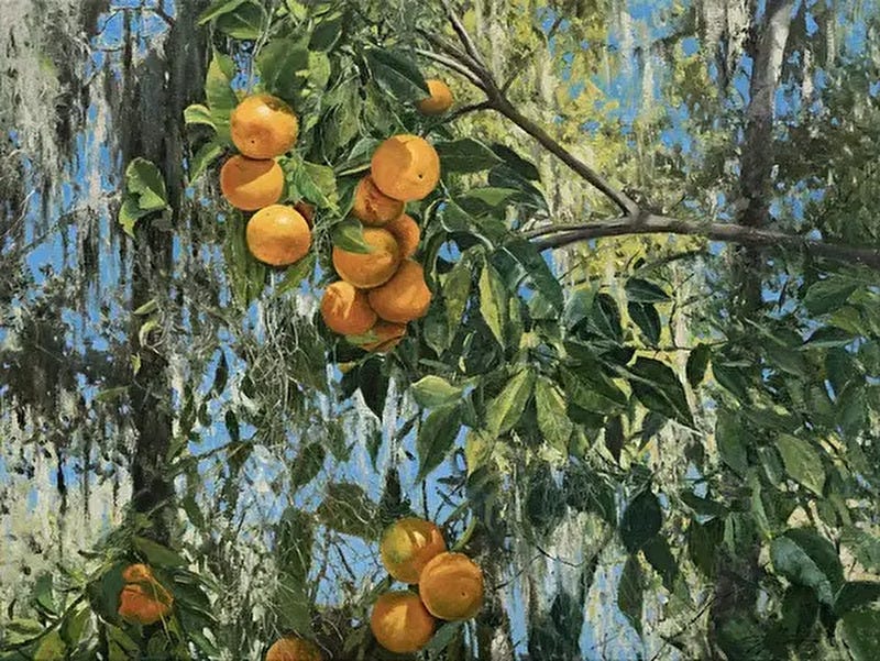 Image 6351862 Image 6351862