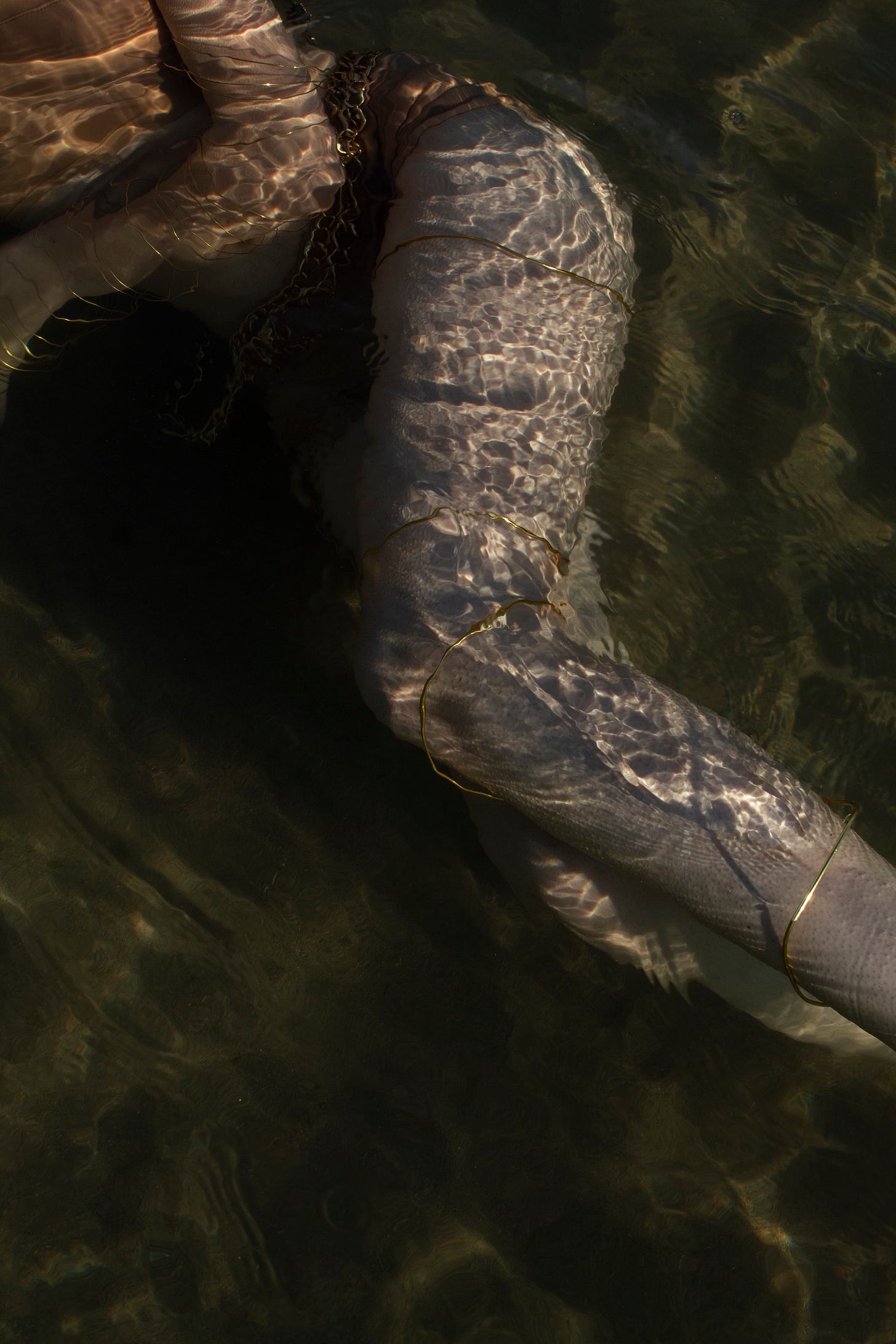 Purification. Photo by Cristian Iacono.