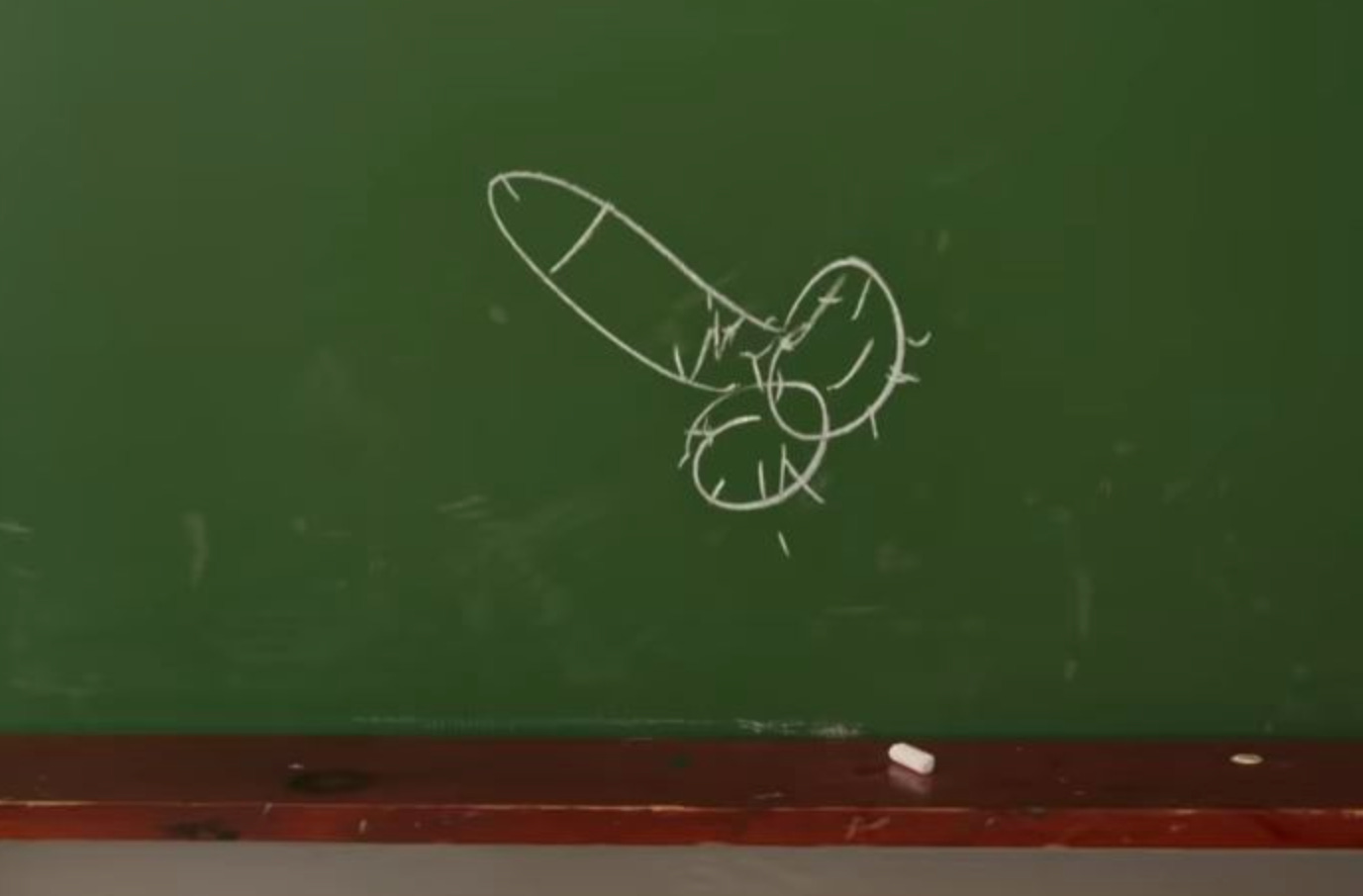 cock drawing