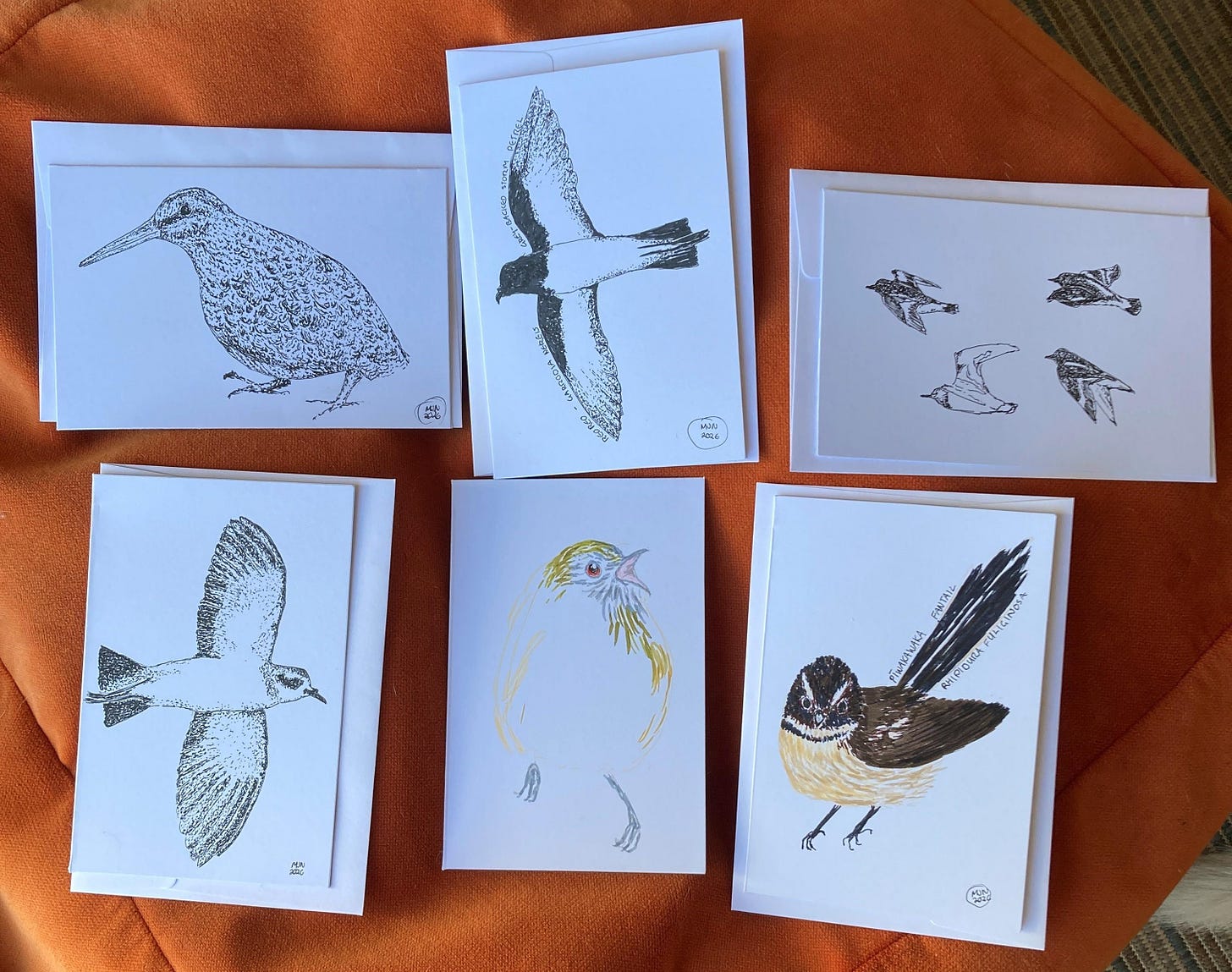 Six notecards, four with black ink drawings of seabirds, one in felt pen of a pīwakawak and one just started in felt pen Six notecards, four with black ink drawings of seabirds, one in felt pen of a pīwakawak and one just started in felt pen