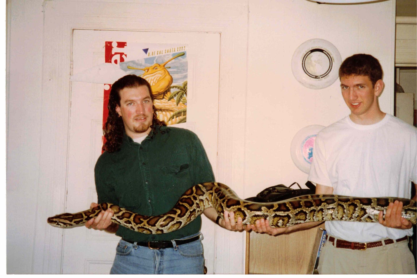 Two young men hold a very large snake, about seven feet of which is visible. The snake is covered with a mottled pattern of black, brown and tan. The author, at left, has long hair and a goatee and wears a green button-up shirt tucked into jeans, and clearly has very little fashion sense. I am holding the head. My younger brother, at right, holds the body and is much more presentable in short hair, a white t-shirt and chinos. A Budweiser-branded UC Santa Cruz basketball poster with a fully shredded slug mascot is on the closet door behind the author. There are also two frisbees hanging on the wall. The apartment looks unglamorous. Two young men hold a very large snake, about seven feet of which is visible. The snake is covered with a mottled pattern of black, brown and tan. The author, at left, has long hair and a goatee and wears a green button-up shirt tucked into jeans, and clearly has very little fashion sense. I am holding the head. My younger brother, at right, holds the body and is much more presentable in short hair, a white t-shirt and chinos. A Budweiser-branded UC Santa Cruz basketball poster with a fully shredded slug mascot is on the closet door behind the author. There are also two frisbees hanging on the wall. The apartment looks unglamorous.
