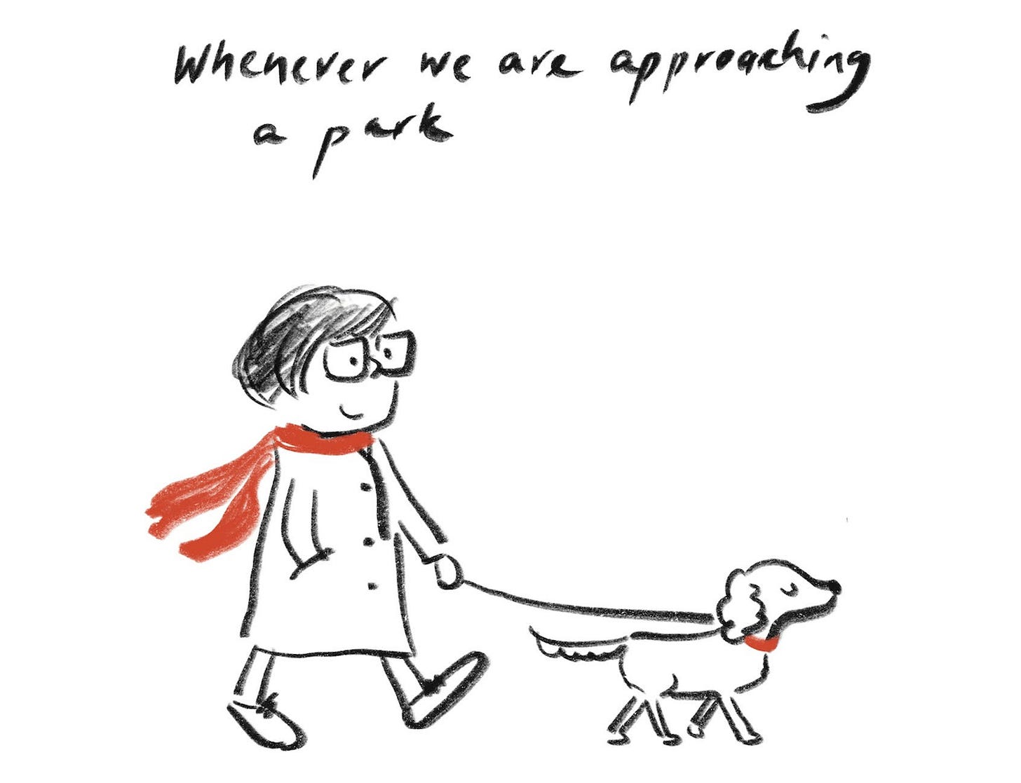 "Whenever we are approaching a park" Candy in red scarf walking polite looking spaniel in red collar
