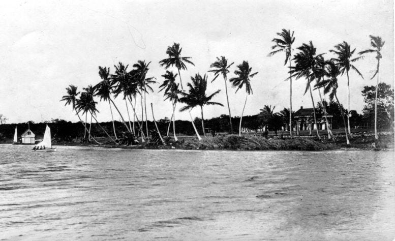 North Bank of the Miami River in 1890 from Biscayne Bay. Source unknown.