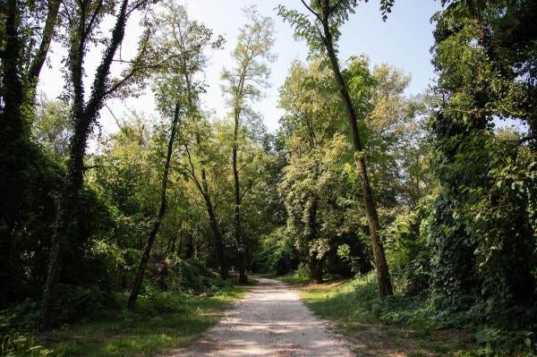 La passeggiata lungo le sponde del Serio, il luogo scelto da Roberta per il suo ritratto per il progetto "Donne di Crema" (C)Monica Monimix Antonelli La passeggiata lungo le sponde del Serio, il luogo scelto da Roberta per il suo ritratto per il progetto "Donne di Crema" (C)Monica Monimix Antonelli