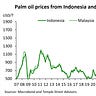 The Asia Economist