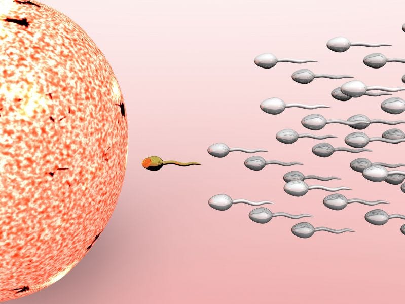 No Sex Required: Body Cells Transfer Genetic Info Directly Into Sperm Cells, Amazing Study Finds
