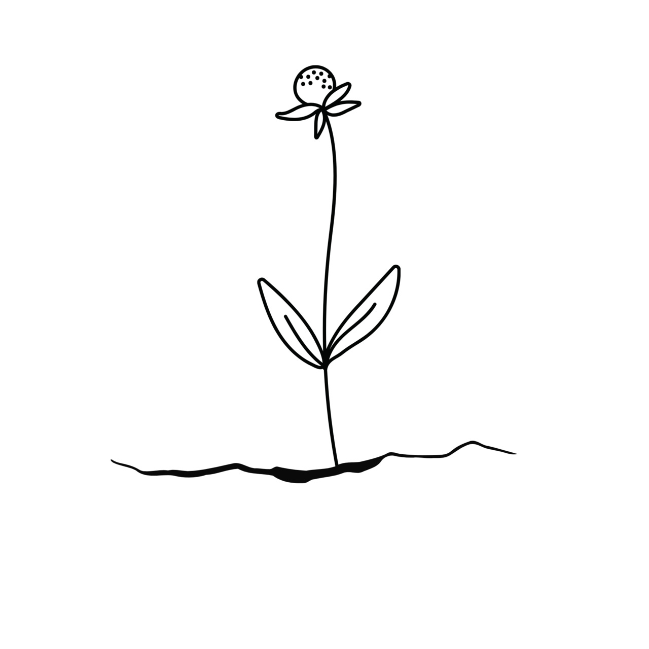 Confessions of a Sidewalk Flower