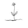 Confessions of a Sidewalk Flower
