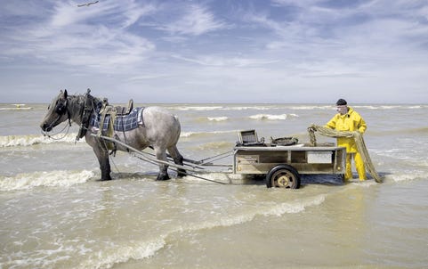 Contenu de l’article Contenu de l’article