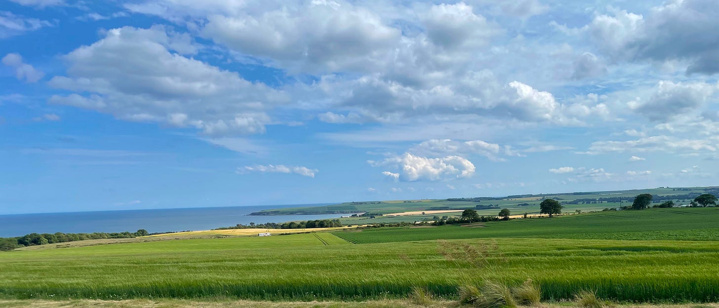 The sky fills the top third of the picture, blue with clouds that might be travelling. Then there's the sea. Also blue. Then the most vivid green fields, with patches of bright yellow. It's the coast of Angus near Montrose 