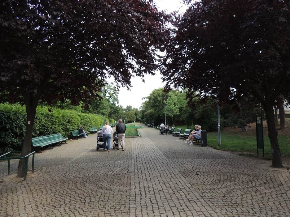 People walking in a park

AI-generated content may be incorrect.