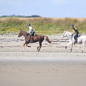 Lend a hand at Ireland’s premier horse riding event