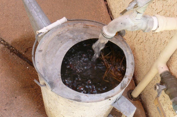 watering can watering can