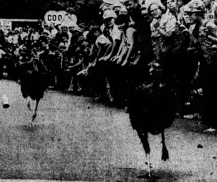 SCOUTING YESTERDAY | Pukwana’s turkey races took flight — then flew the coop