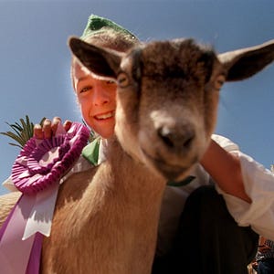I Was a Gentle Parent. Then My Kids Discovered the County Fair.