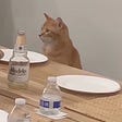 catdaddy's avatar