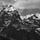 Thinking Like A Mountain