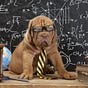 Einstein's avatar