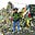 Carol Diane Bevis's avatar
