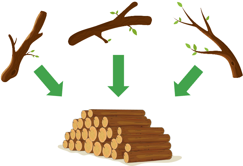 three irregular branches with an arrow pointing from each to a pile of neat logs
